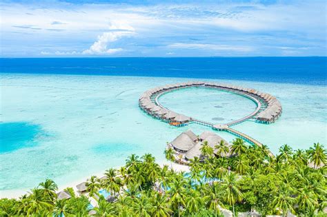 Отель Сан Сиям Вилу Риф Даалу Атолл Мальдивы: отзывы, описание, фото ...