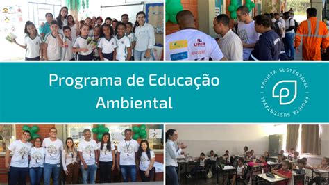 O Que é Um Programa De Educação Ambiental