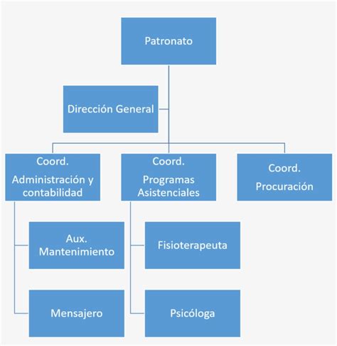 Ejemplo De Organigrama De Una Ong Lucidchart Porn Sex Picture