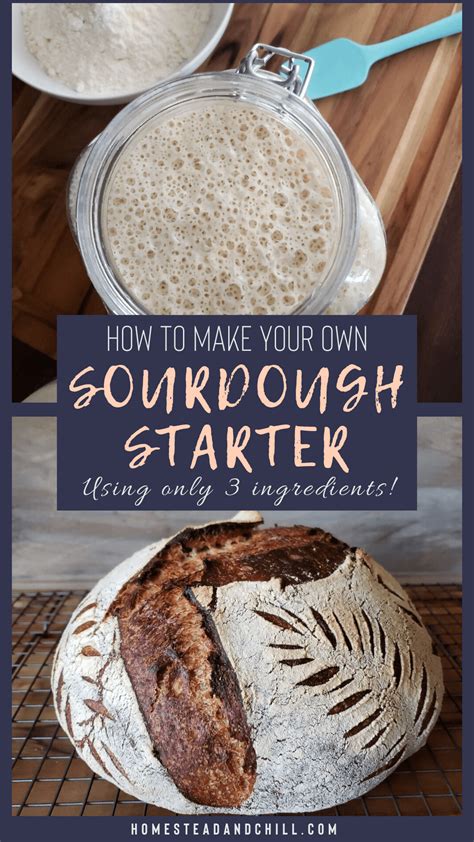 How To Make Your Own Sourdough Starter From Scratch Recipe