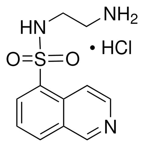 N 2 Aminoethyl 5 Isoquinolinesulfonamide Hydrochloride 97 0 HPLC