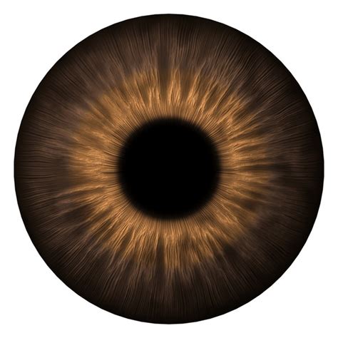 121 652 Brown Eye Texture Royalty Free Images Stock Photos Pictures