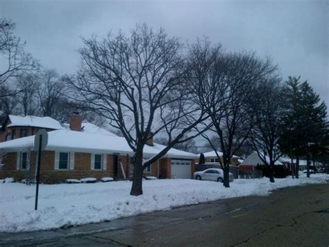 Village of Skokie | Village, Skokie illinois, Suburbs