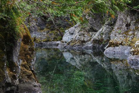 Anyone else love finding hidden gems like this place? : r