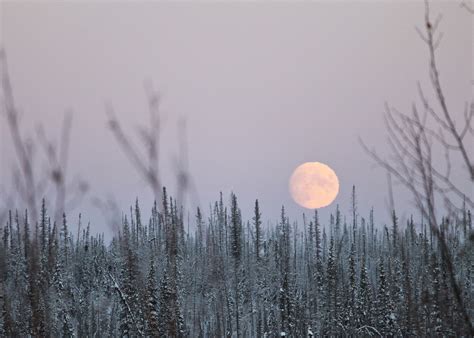 Moonrise & Moonset Times: When Does the Moon Rise Tonight? | The Old ...