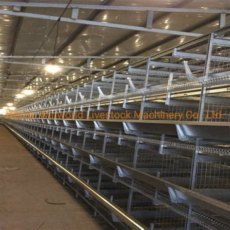 Galfan Cage H Type Battery Chicken Cage System For Layer Farm China