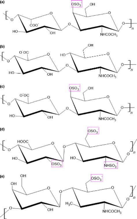 Structure Of Repeating Units Of Glycosaminoglycans A Dermatan