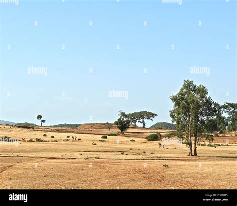 Locals crossing the arid dry grassland in Ethiopia, Africa Stock Photo ...