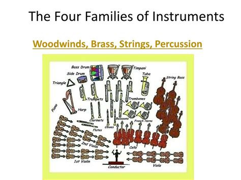 PPT The Four Families Of Instruments PowerPoint Presentation Free