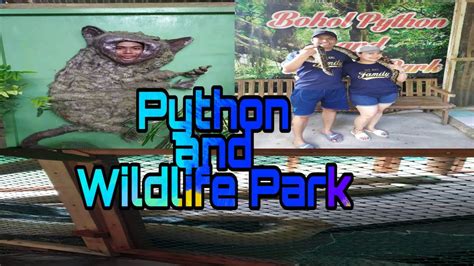 Bohol Python And Wildlife Park Youtube