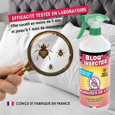 Bloqinsectes Anti Punaises De Lit 1l Pulvérisateur Action Choc