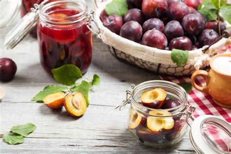 How to preserve plums without sugar? 3 popular ways to preserve plums ...