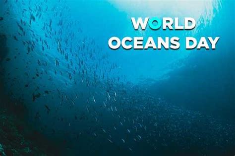 World Oceans Day: Themes, History, and Celebrations