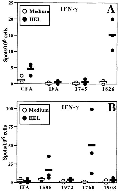 Cpg Odn Enhance Hel Specific Ifn γ Production By Balbc Splenocytes Download Scientific