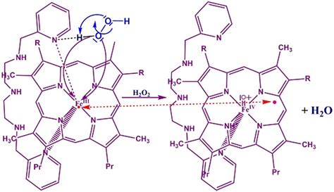 Molecules Free Full Text Spectroscopic And Kinetic Characterization