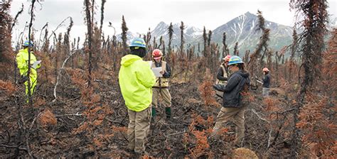 Wildland Fire: Science Ecology Research | U.S. National Park Service