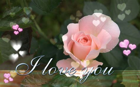 I Love You Wallpapers - Wallpaper Cave