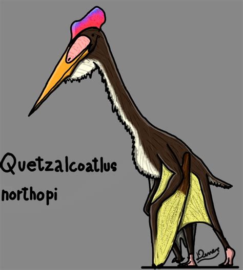 Quetzalcoatlus By Denerdpaleoarts On Deviantart