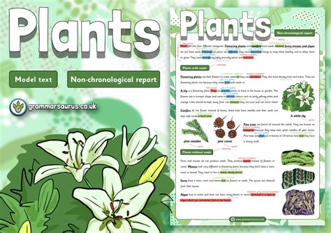 Year Model Text Non Chronological Report Plants Gbsct P