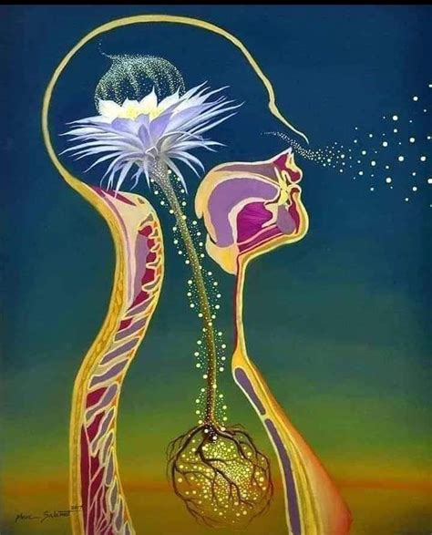 Arte Chakra Ying Y Yang Tantra Art Consciousness Art Interior