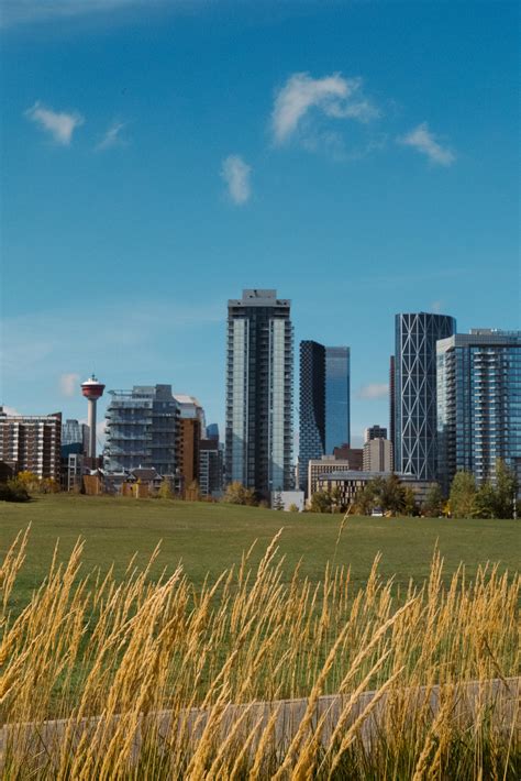 Calgary Travel Guide - Stephi Mi