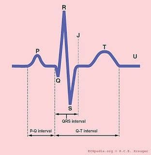 Cardiac Cycle Explained Cardiac Cycle Phases Ecg Graph