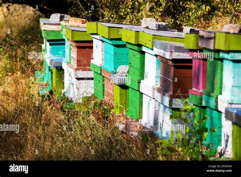 Beehives hi-res stock photography and images - Alamy 