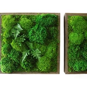 Artisan Moss X Plant Painting No Care Green Moss Wall Art Real