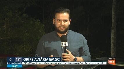 Santa Catarina Identifica Caso De Gripe Avi Ria Em Ave De Fundo De