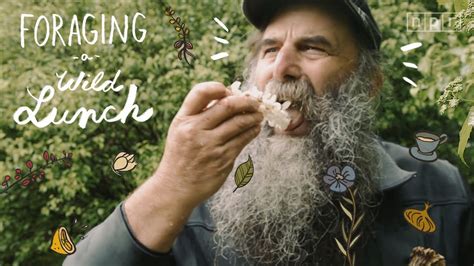 Foraging A Wild Lunch The Salt Npr Youtube