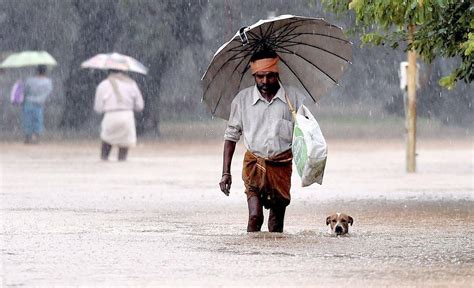 These photos of Chennai floods show the true spirit of the city