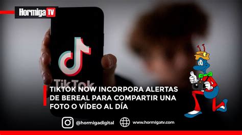 Tiktok Now Incorpora Alertas De Bereal Para Compartir Una Foto O VÍdeo Al DÍa Hormigatv Youtube