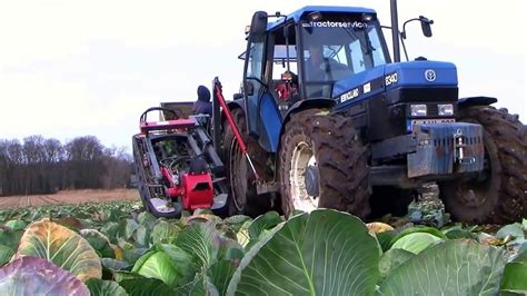 Kombajn do zbioru kapusty na fresh market ręczne ładowanie do 2