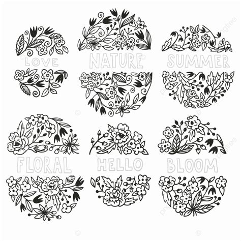 Hand Drawn Set Vector Hd Png Images Vector Set Of Hand Drawn Floral Elements Summer Plant