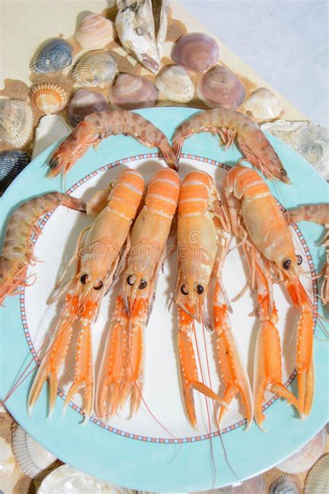 Italian Seafood Freshly Stock Photo Image Of Precious 225362454