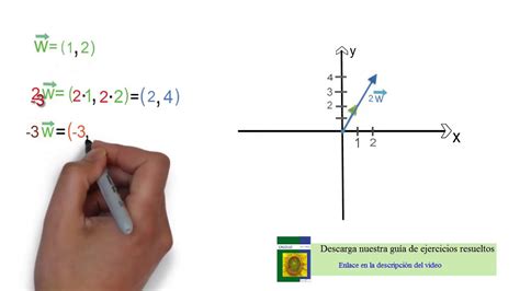 Multiplicaci N De Vectores Youtube