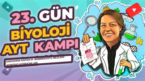 AYT KAMPI 11 SINIF 23 GÜN ENDOKRİN SİSTEM 8 BÖBREKÜSTÜ