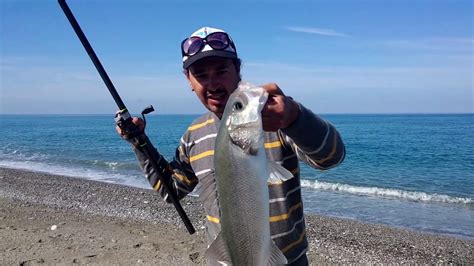 Pesca In Mare Con La Bolognese Spigola Combattiva Youtube