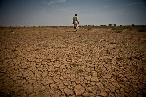 Sahel drought - Alchetron, The Free Social Encyclopedia