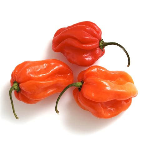 Fresh Scotch Bonnet Peppers Chillies 100g Imported Weekly Thai Food