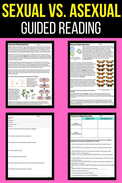 Asexual Vs Sexual Reproduction Worksheet Printable Word Searches