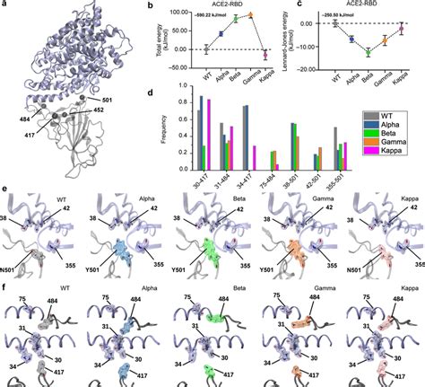 MD Simulation Of The RBDACE2 Of WT And VoCs A Ribbon Like