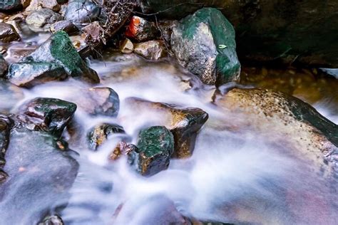 Tripadvisor Fotografie Abenteuer Im Blue Mountains Regenwald Und An