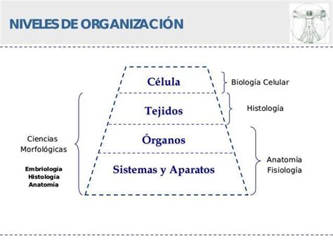 Recursos By Luis Gilberto Agreda Lopez Issuu