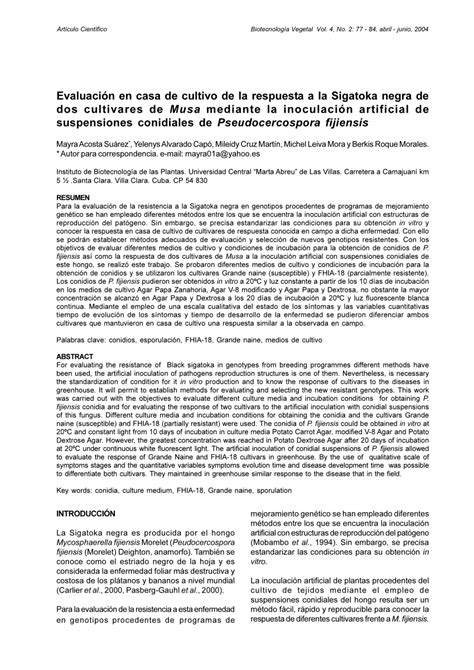 PDF Evaluación en casa de cultivo de la respuesta a la Sigatoka negra