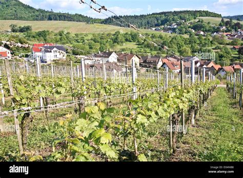 Germany Wines Wineries Hi Res Stock Photography And Images Alamy