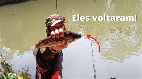 PESCARIA DE PIAÚ CABEÇA GORDA NO RIO DAS ALMAS YouTube