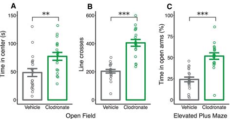 Temporary Depletion Of Microglia During The Early Postnatal Period