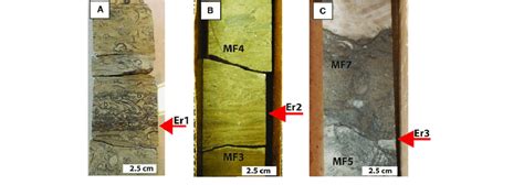 Examples of erosional surfaces in core. (A) High-energy event deposit... | Download Scientific ...