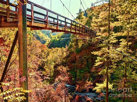 Tallulah Gorge Suspension Bridge Photograph by David Lane - Pixels